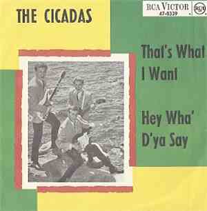 The Cicadas - That's What I Want