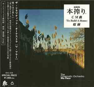The Cinematic Orchestra - Ma Fleur