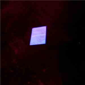Various - Thoroughly Lost To Logic