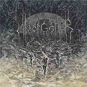Vidargängr - A World That Has To Be Opposed