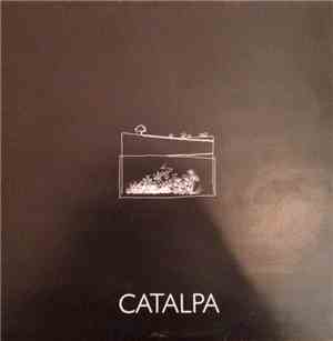 Catalpa - Catalpa