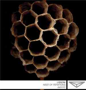 Lissom - Nest Of Iterations