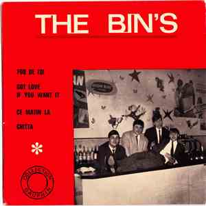 The Bin's - Fou De Toi
