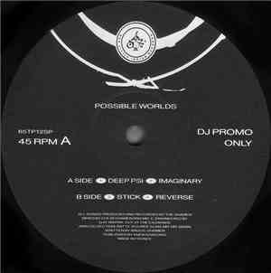 The Shamen - Possible Worlds