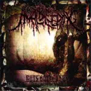 Anal Bleeding - Guts Out Of Anus