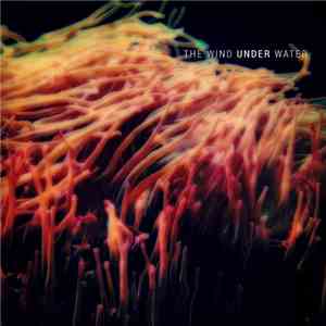 Christopher Sisk - The Wind Under Water