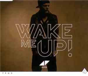 Avicii - Wake Me Up