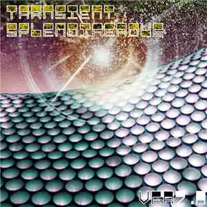 Transient - Splendiferous