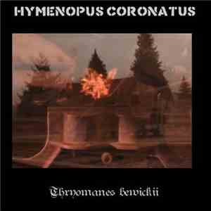 Hymenopus Coronatus - Thryomanes Bewickii
