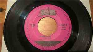 Paul Anka - My Hometown / Something Happened