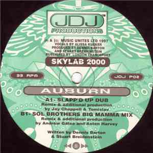 Skylab 2000 - Auburn