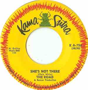 The Road - She's Not There / A Bummer
