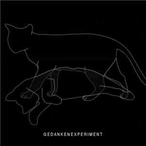 Gedankenexperiment - Experiment Defined
