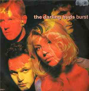 The Darling Buds - Burst