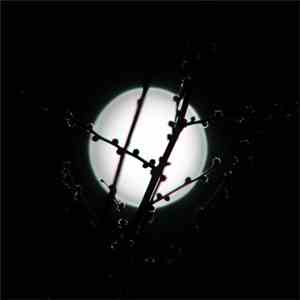 DEFAMATION CVLT - XVIII