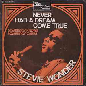 Stevie Wonder - Never Had A Dream Come True