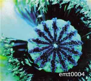 Various - em:t 0004