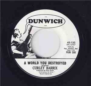 Billy Barrix - A World You Destroyed