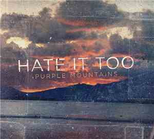 Hate It Too - Purple Mountains