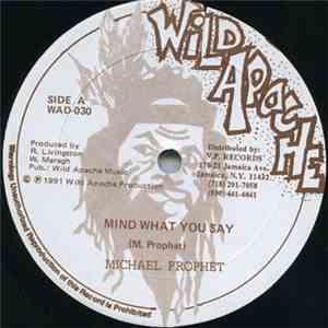 Michael Prophet / Danger D - Mind What You Say / F.B.I. Find Me