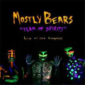 Mostly Bears - Team Of Spirits