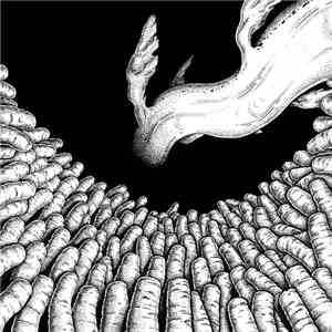 Nest  - Hadal