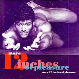 Various - More 12 Inches Of Pleasure