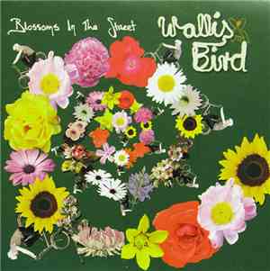 Wallis Bird - Blossoms In The Street