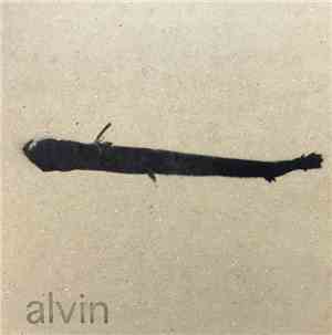 Alvin - Demo#2