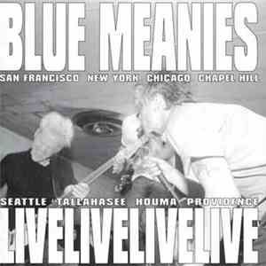 Blue Meanies - A Sonic Documentation Of Exhibition And Banter