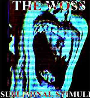 Subliminal Stimuli - The Worst Of Subliminal Stimuli