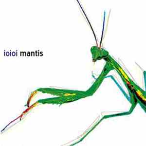 Ioioi - Mantis
