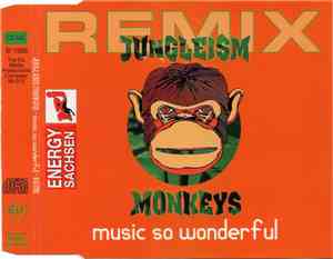 Jungleism Monkeys - Music So Wonderful (Remix)