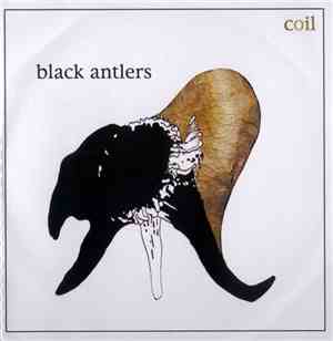 Coil - Black Antlers