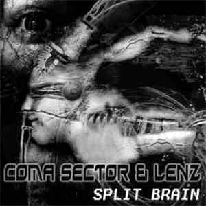 Coma Sector & Lenz - Split Brain
