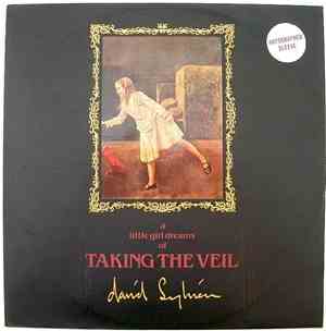 David Sylvian - Taking The Veil