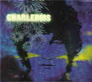 Robert Charlebois - Tout Est Bien