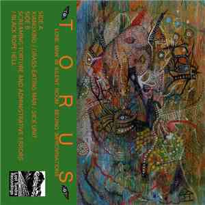 Torus - Lone Man in Silent Room: Beijing Improvisations