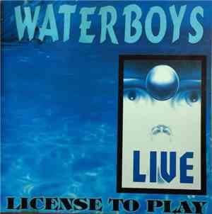 Waterboys - License To Play