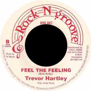 Trevor Hartley - Feel The Feeling
