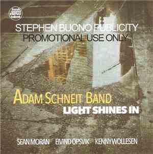 Adam Schneit Band - Light Shines In