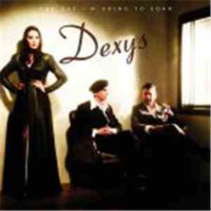Dexys Midnight Runners - One Day I'm Going To Soar