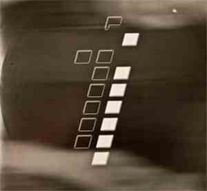 Fracture & Neptune - Too Doggone Funky / Worm Science / Squeaky Media