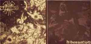 Hibernation / Slavebreed - Untitled