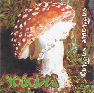 Incubus - Fungus Amongus