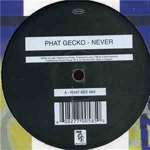 Phat Gecko - Never
