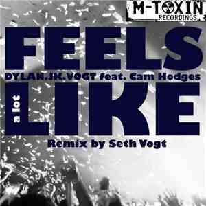 Dylan.JK.Vogt Feat. Cam Hodges - Feels A Lot Like