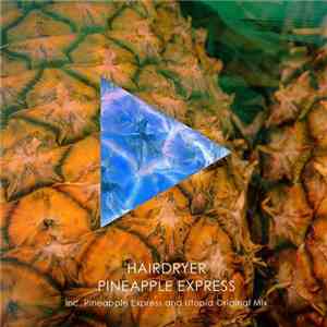 Hairdryer  - Pineapple Express