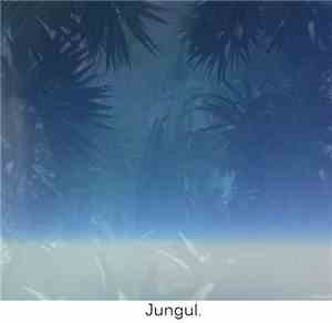 Patterns Of The Sky - Jungul.