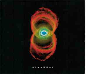 Pearl Jam - Binaural